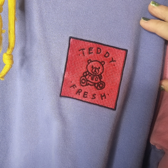 Teddy Fresh 100% Cotton Color Block Unisex Hoodie Size S Small‎ Heavy Duty - Picture 4 of 14
